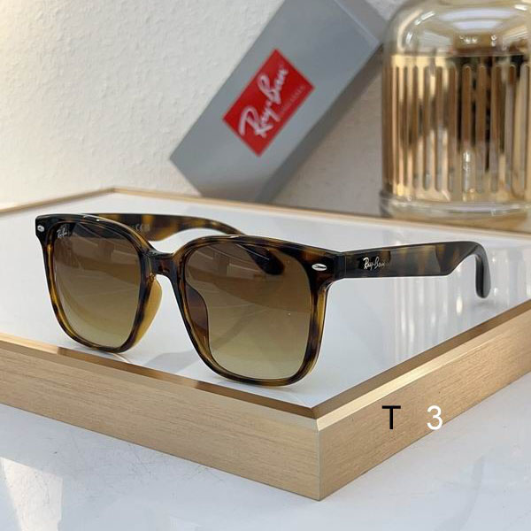 RayBan Sunglasses ID:20240804-378